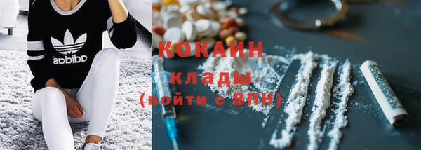 прущие крисы Каменка
