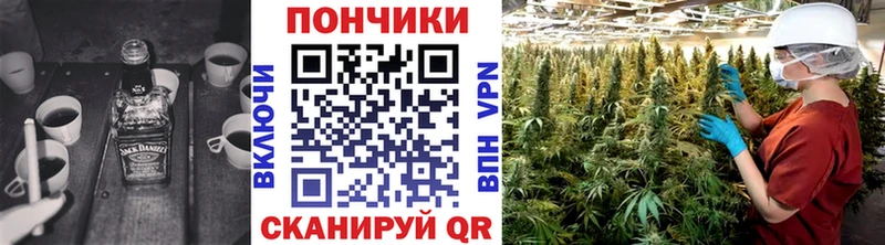 Купить закладки  Курчатов  Канабис планчик 